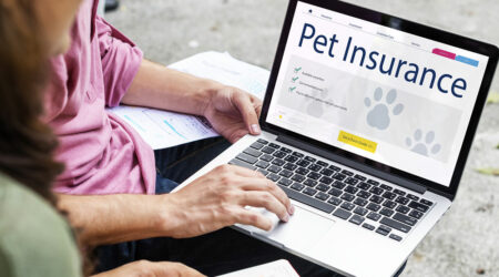 5 important things to know before buying pet insurance