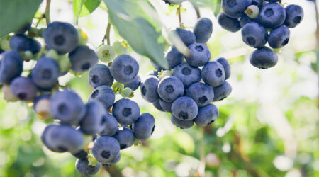 3 effective ways to manage multiple sclerosis