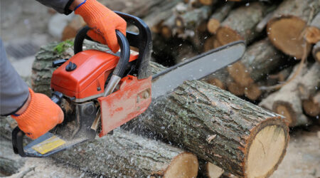 6 mistakes to avoid when buying a chainsaw