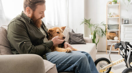 8 clear signs of tick bites in pets